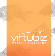 Virtubiz Internet Marketing & Web Design