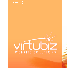 Virtubiz Internet Marketing & Web Design